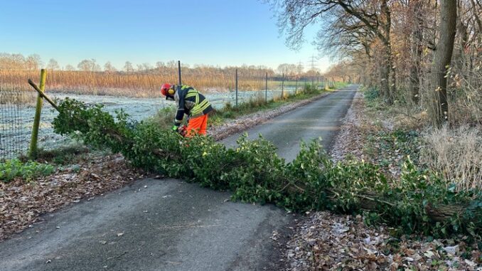 FW Hünxe: Baum blockierte Straße