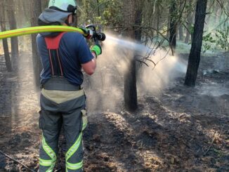FW Hünxe: Erneuter Waldbrand