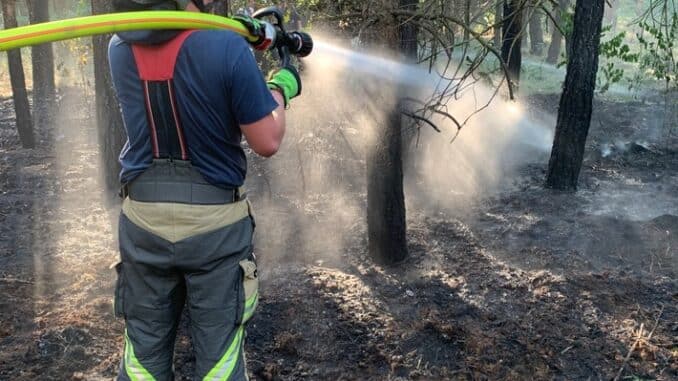 FW Hünxe: Erneuter Waldbrand