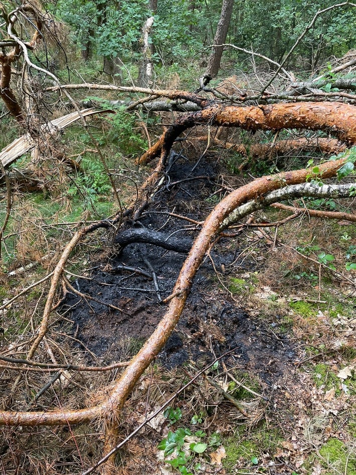 FW Hünxe: Gemeldeter Waldbrand