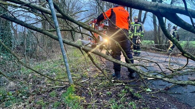 FW Hünxe: Sturmschaden auf dem Hardtbergweg