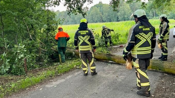 FW Hünxe: Umgestürzter Baum