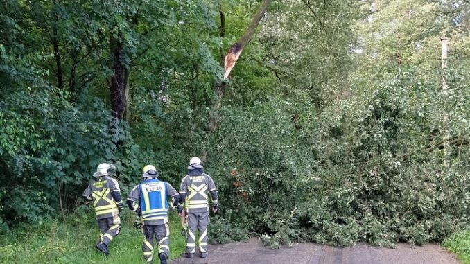 FW Hünxe: Umgestürzter Baum blockiert den Krudenburger Weg