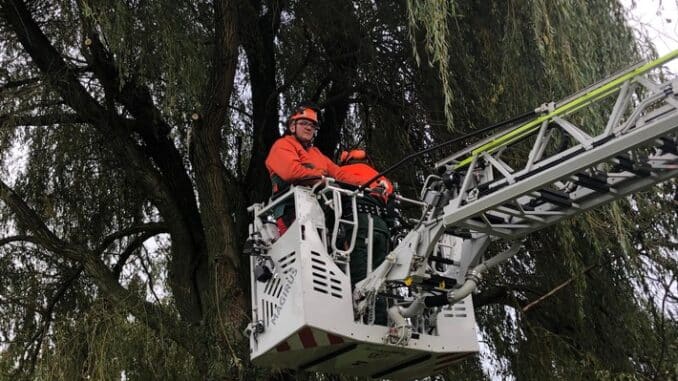 FW-KLE: Achtung, Baum fällt! - Ausbildung an der Motorsäge bei der Freiwilligen Feuerwehr Bedburg-Hau