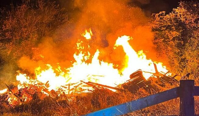 FW-KLE: Achtung, nur eine Übung - Feuerwehr probt für einen Waldbrand