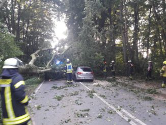 FW-KLE: Baum stürzt auf fahrendes Auto