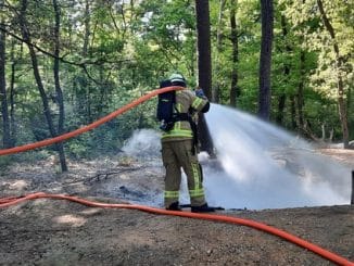 FW-KLE: Brand im Reichswald schnell gelöscht