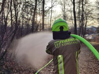 FW Konstanz: Flächenbrand im Wald