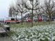 FW Konstanz: Vermisste Person auf der Fährlinie