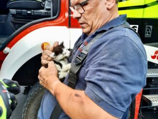 FW Kranenburg: Katze im Motorraum