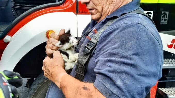 FW Kranenburg: Katze im Motorraum