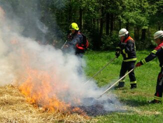 FW-LFVSH: Vegetationsbrandbekämpfung: Feuerwehren des Landesfeuerwehrverbandes Schleswig-Holstein bereiten sich auf weitere trockene Sommer vor