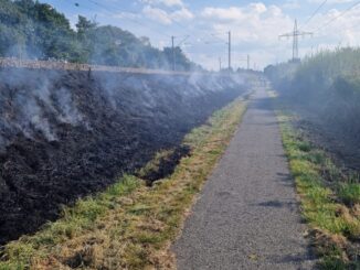 FW-LK Leer: Großeinsatz entlang der Bahnstrecke - 130 Einsatzkräfte bekämpfen Flächenbrände