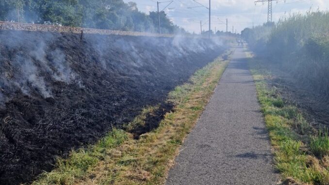 FW-LK Leer: Großeinsatz entlang der Bahnstrecke - 130 Einsatzkräfte bekämpfen Flächenbrände