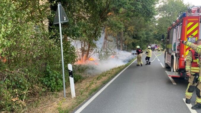 FW Lehrte: 2 Flächenbrände und ein Waldbrand im Stadtgebiet Lehrte