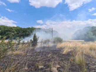 FW Lehrte: Ausgedehnten Waldbrand verhindert: Ehrenamtliche Einsatzkräfte aus dem Stadtgebiet Lehrte bekämpfen rund 10 Einsatzstellen mit mehreren 1000 qm Fläche gleichzeitig.