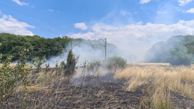 FW Lehrte: Ausgedehnten Waldbrand verhindert: Ehrenamtliche Einsatzkräfte aus dem Stadtgebiet Lehrte bekämpfen rund 10 Einsatzstellen mit mehreren 1000 qm Fläche gleichzeitig.