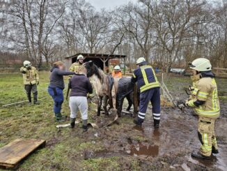 FW Lehrte: Pony wird durch Feuerwehr aus misslicher Lage befreit.