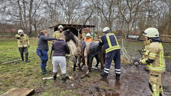 FW Lehrte: Pony wird durch Feuerwehr aus misslicher Lage befreit.