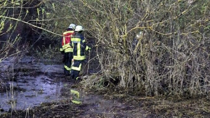 FW Lüchow-Dannenberg: Dreibeiniger Hund jagt Ente +++ verheddert sich im Uferbereich der Jeetzel im Gestrüpp +++ Feuerwehr rettet Hund