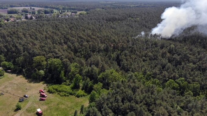FW Lüchow-Dannenberg: Erster Waldbrand des Jahres beschäftigt über 120 Einsatzkräfte in der Region Gartow (Ldkrs. Lüchow-Dannenberg) +++ Brand trotz unwegsamen Geländes schnell unter Kontrolle