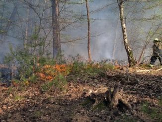 FW Lüchow-Dannenberg: Erster größerer Waldbrand in Nordost-Niedersachsen in diesem Jahr +++ Passant entdeckt Rauchwolke von der anderen Elbseite aus +++ Löscharbeiten beschäftigten über 70 ehrenamtliche Einsatzkräfte