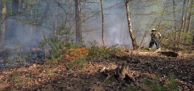 FW Lüchow-Dannenberg: Erster größerer Waldbrand in Nordost-Niedersachsen in diesem Jahr +++ Passant entdeckt Rauchwolke von der anderen Elbseite aus +++ Löscharbeiten beschäftigten über 70 ehrenamtliche Einsatzkräfte