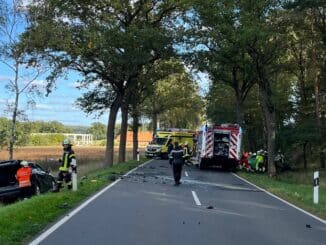 FW Lüchow-Dannenberg: +++Schwerer Verkehrsunfall nahe Hitzacker+++zwei PKW stoßen frontal zusammen+++eingeklemmter Fahrer erliegt an der Unfallstelle seinen Verletzungen+++