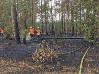 FW Lüchow-Dannenberg: +++Vegetationsbrand in Lüchow-Dannenberg+++Großeinsatz mit ca. 250 Feuerwehrkräften+++Brand schnell unter Kontrolle+++