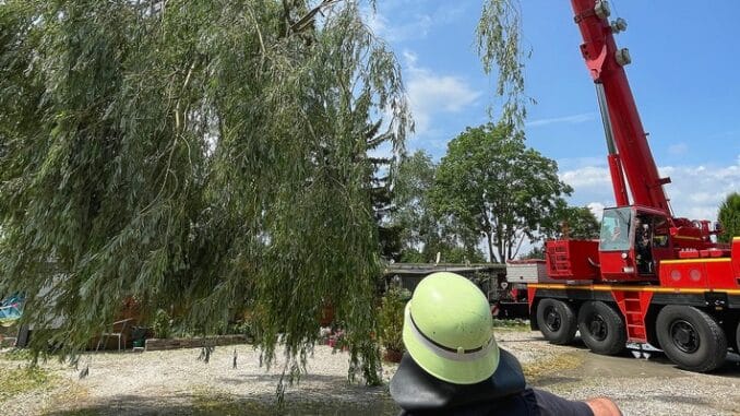 FW-M: Ast bringt Camper in Gefahr (Langwied)