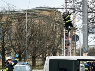 FW-M: Auto fällt Ampelmast (Maxvorstadt)