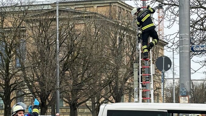 FW-M: Auto fällt Ampelmast (Maxvorstadt)