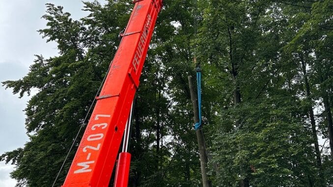 FW-M: Baum droht zu fallen (Oberföhring)