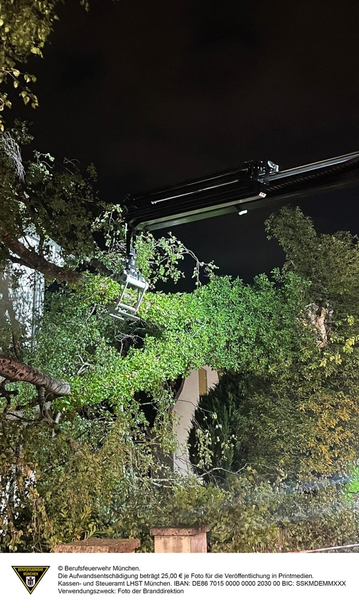 FW-M: Baum droht zu fallen (Ramersdorf-Perlach)