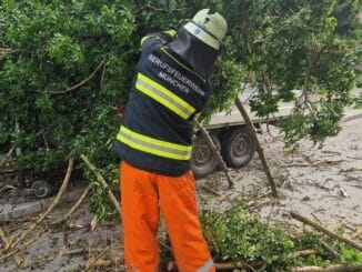 FW-M: Baum durchstanzt Pkw-Anhänger (Moosach)