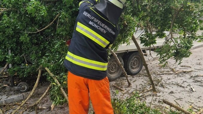 FW-M: Baum durchstanzt Pkw-Anhänger (Moosach)