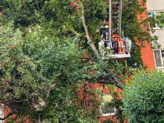 FW-M: Baum stürzt auf Mehrfamilienhaus (Untergiesing-Harlaching)