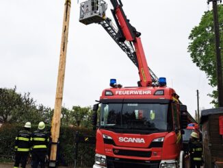 FW-M: Dann steht der Maibaum doch noch (Friedenheim)