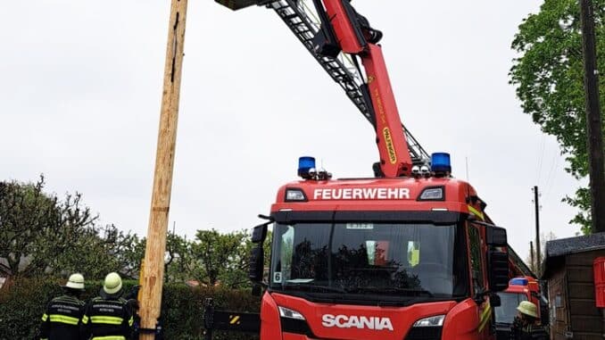 FW-M: Dann steht der Maibaum doch noch (Friedenheim)
