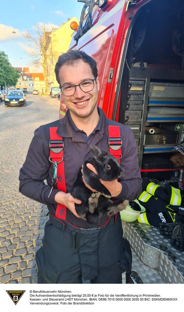 FW-M: Entlaufenes Kaninchen (Sendling)