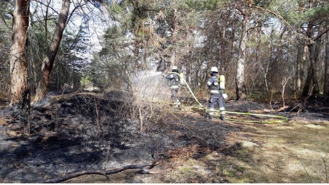 FW-M: Flächenbrand (Fröttmaning)