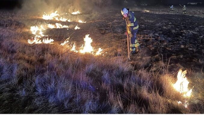 FW-M: Flächenbrand auf Panzerwiese (Hasenbergl)