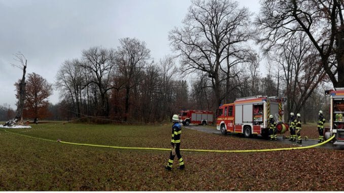 FW-M: Habitatbaum musste gefällt werden (Hirschau)