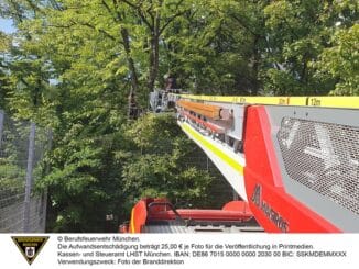 FW-M: Junger Baumkraxler in Not (Neuhausen)