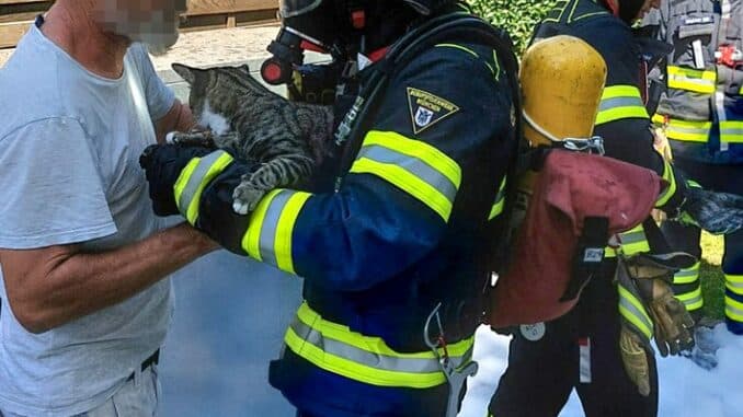 FW-M: Kleintiere aus Brandwohnung gerettet (Pasing-Obermenzing)
