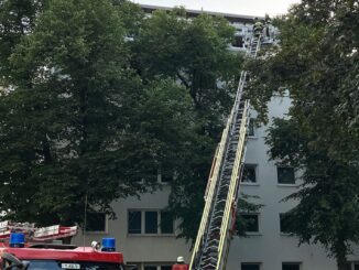 FW-M: Küchenbrand schnell gelöscht (Giesing)