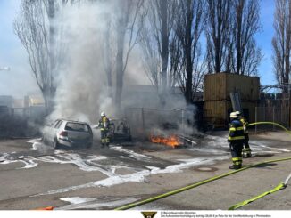 FW-M: Mehrere Pkw durch Feuer zerstört (Großmarkthalle)