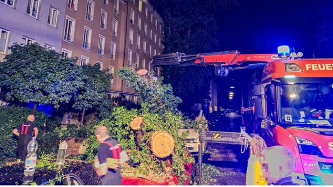 FW-M: Unwetterbilanz (Stadtgebiet)