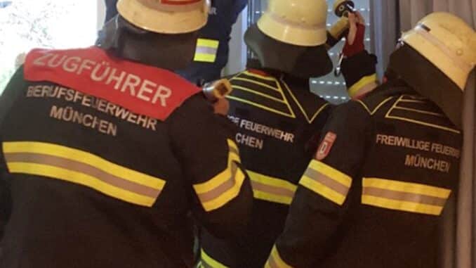 FW-M: Wespenentfernung ging gewaltig schief (Am Westkreuz)
