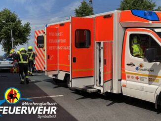 FW-MG: Aufwändige Rettungsaktion nach Sturz aus Baumkrone